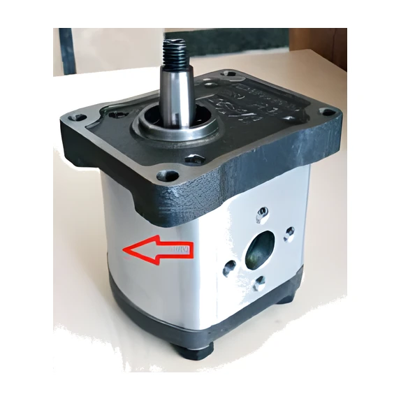 BHP2-B0-D-3 ÇELİK KAPAK POMPA 1/8 KONİK ŞAFT