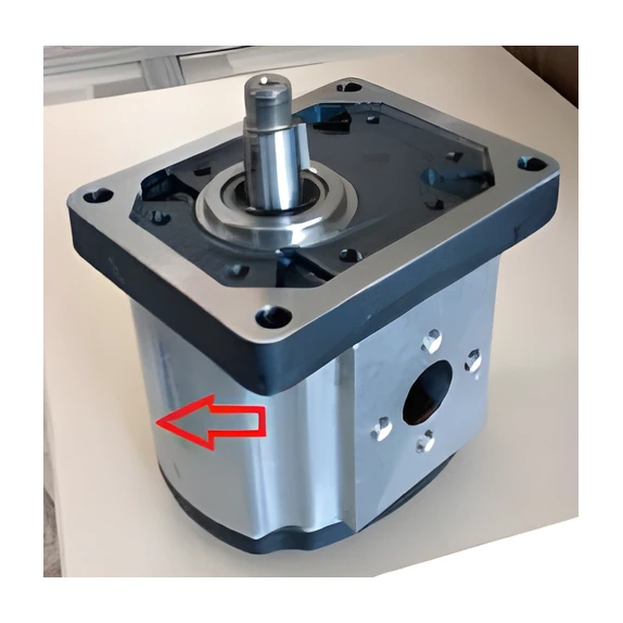 BHP3-B1-D-20 ÇELİK KAPAK POMPA 1/8 KONİK ŞAFT