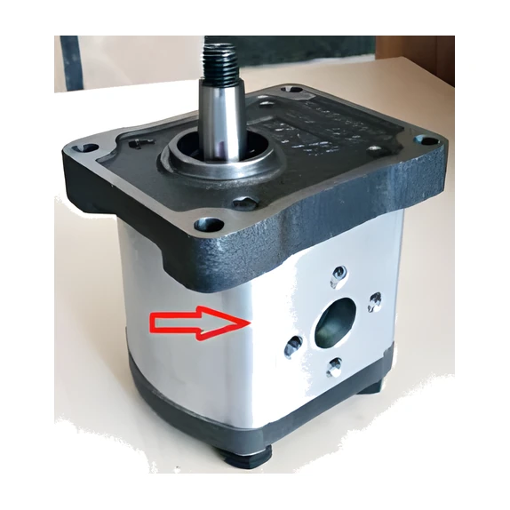 BHP2-B0-S-4 ÇELİK KAPAK POMPA 1/8 KONİK ŞAFT