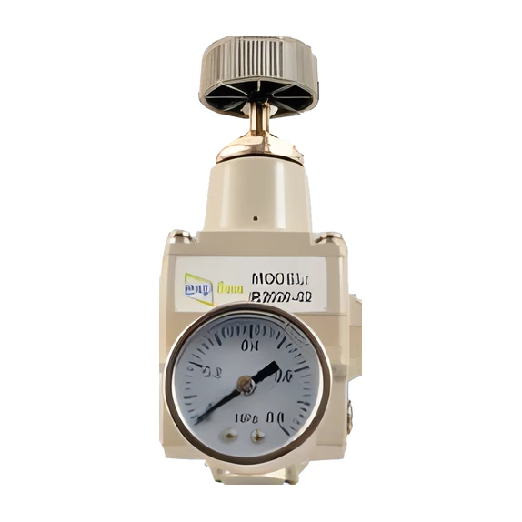 IR1000-01 1/8 HASSAS REGÜLATÖR 0,05-2 Bar (Q10)