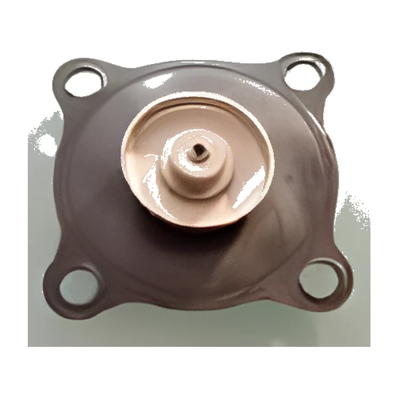 DVS-2W160-15K GENEL MAKSAT VALF DİAFRAMI