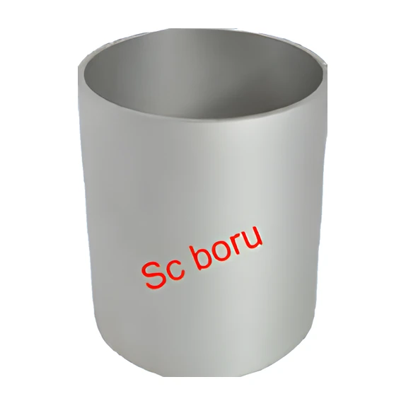SC BORU