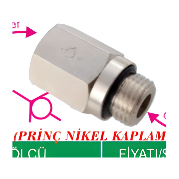 IPCVFG01-01B 1/8-1/8 ÇEKLİ 2,59 DİŞİ TİP ÇEK VALF REKORLARI A TİP (1423)